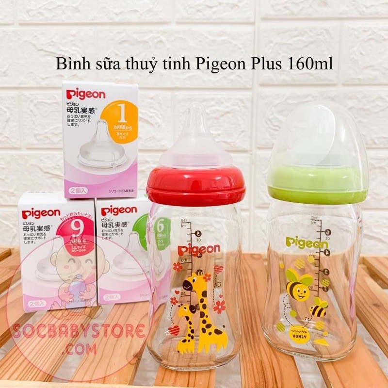 Bình Sữa Thuỷ Tinh Pigeon cổ rộng 160ml / 240ml