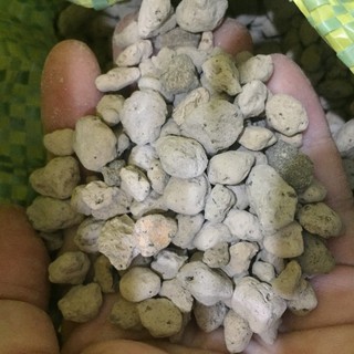 100g đá pumice/đá bọt núi lửa Indonesia trộn đất trồng cây