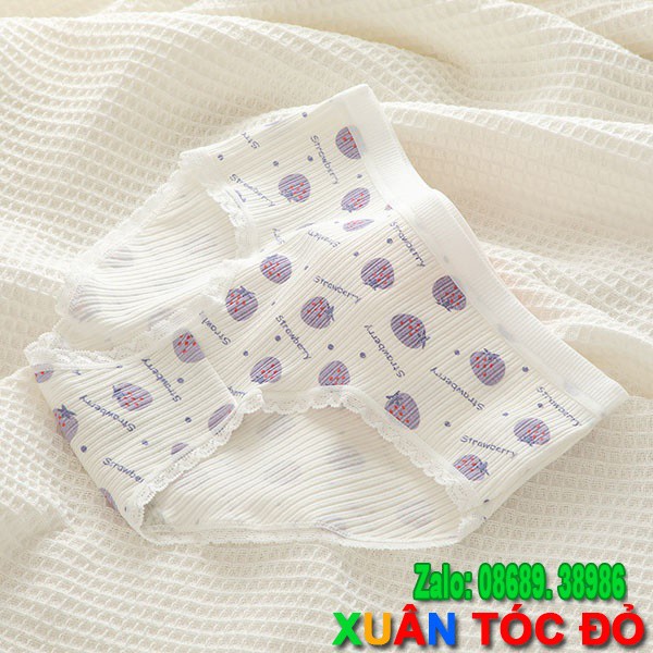 [Mã WASTDEP giảm 5K đơn bất kì] SỈ ZALO RẺ HƠN NHIỀU_ Lót 5 Kiểu Thỏ Tím Dâu Tây 5091 | BigBuy360 - bigbuy360.vn