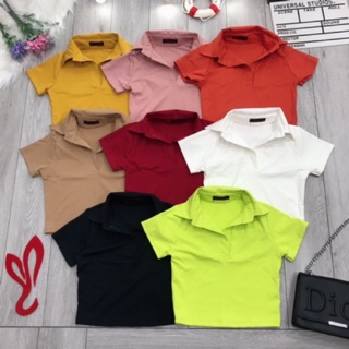 Áo thun cổ bẻ croptop chất đẹp