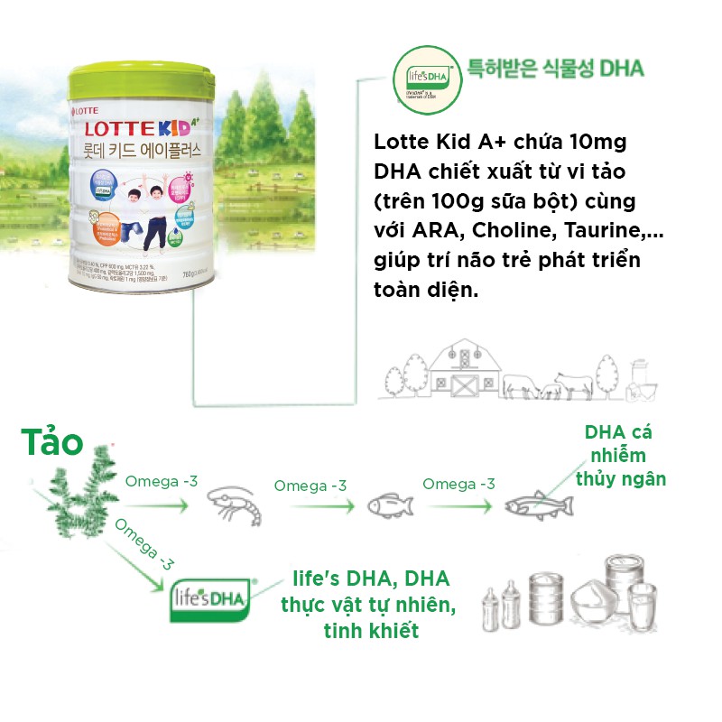 Sữa Bò Lotte Kid A+ Hàn Quốc lon 760g hỗ trợ trẻ tăng chiều cao