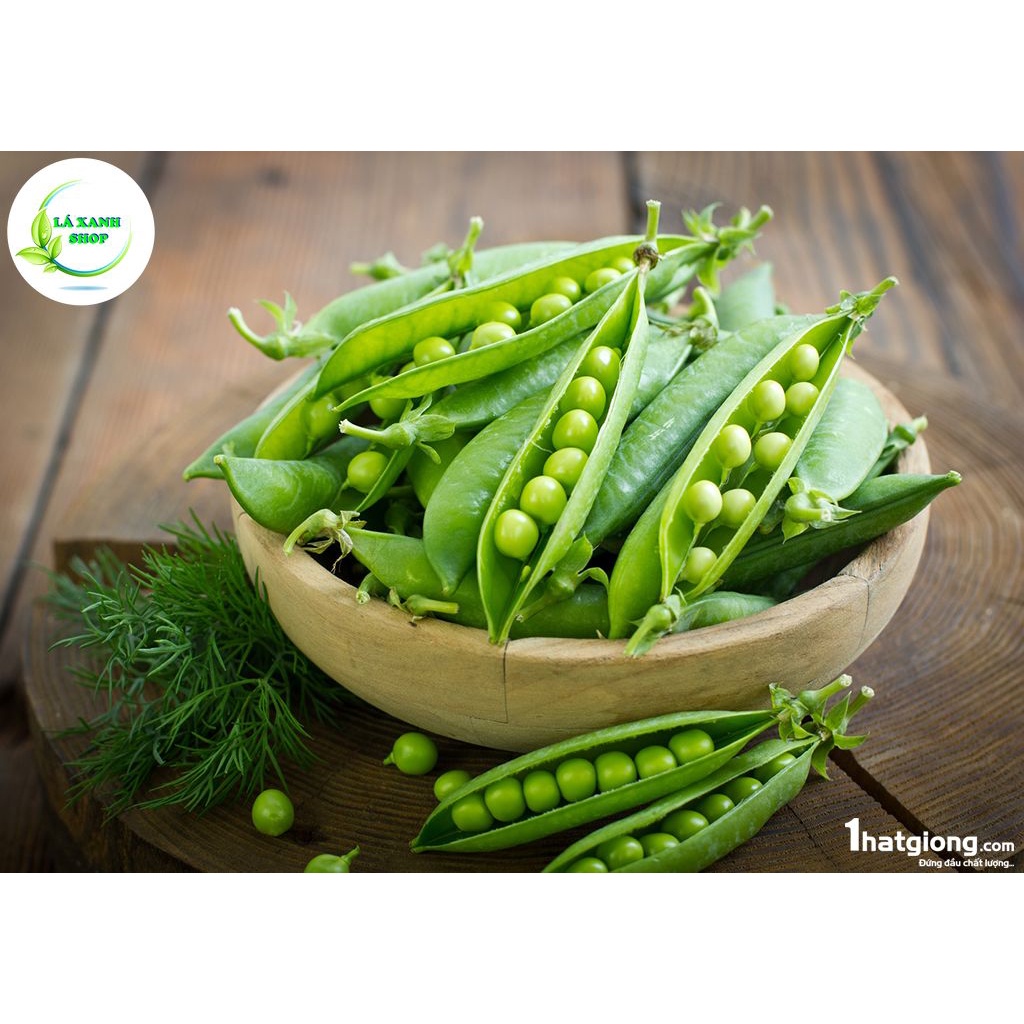 Hạt Giống Đậu Hà Lan Lấy Hạt Năng Suất Cao, Trồng Quanh Năm ( gói 20 gr) - Hạt giống Rạng Đông