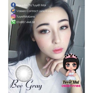 Lens vassen bee gray xám tây