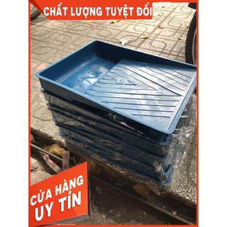 Khay đựng sơn Thành Công