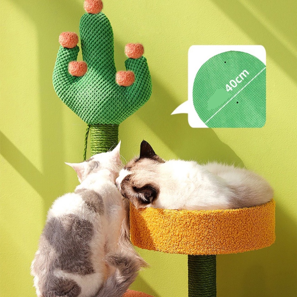 Bộ cào móng kết hợp ổ nằm cho mèo - CATTREE phụ kiện thú cưng