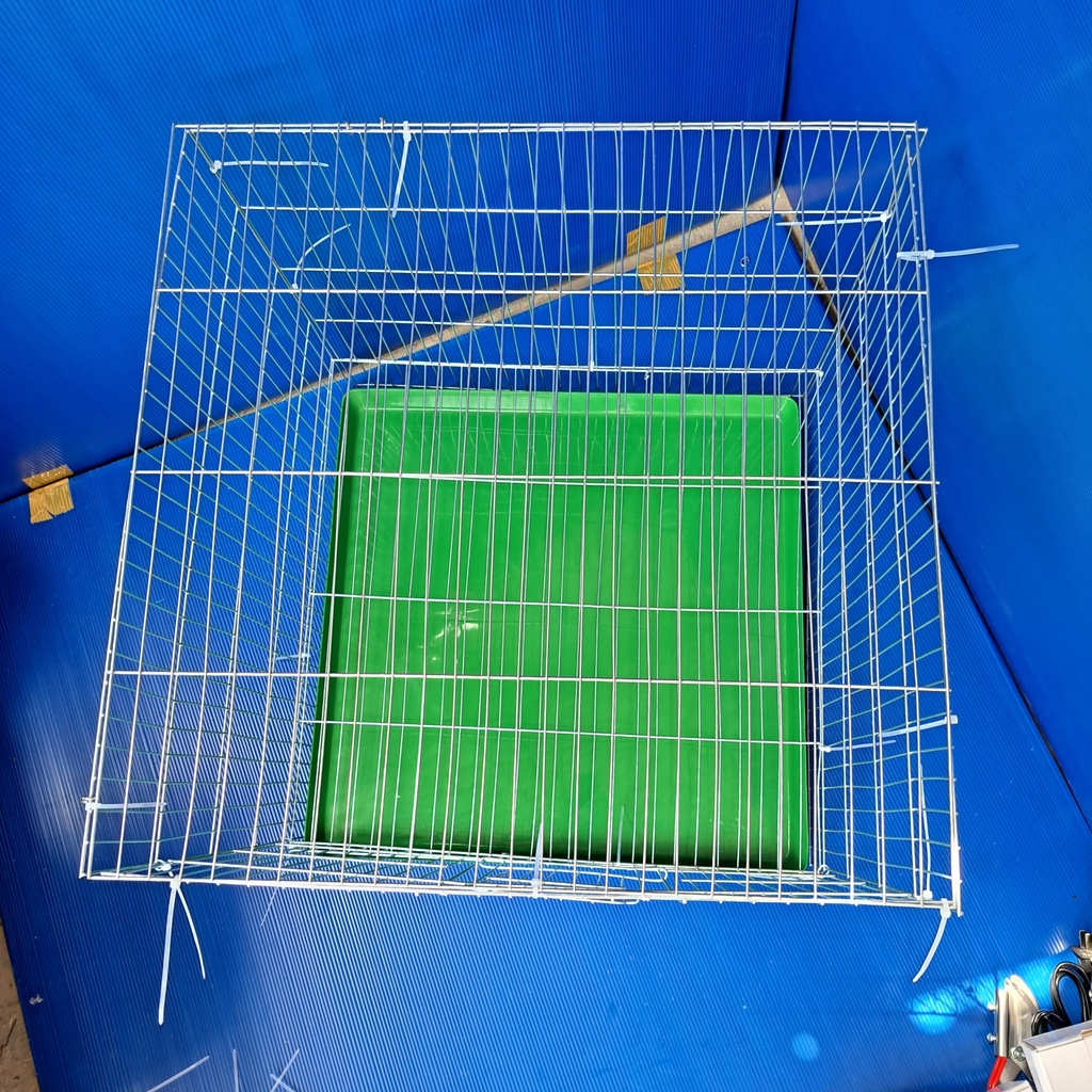 Chuồng nuôi mèo thỏ chim gà 50x50x50 kèm khay phân khoảng nan 1cm, 2cm