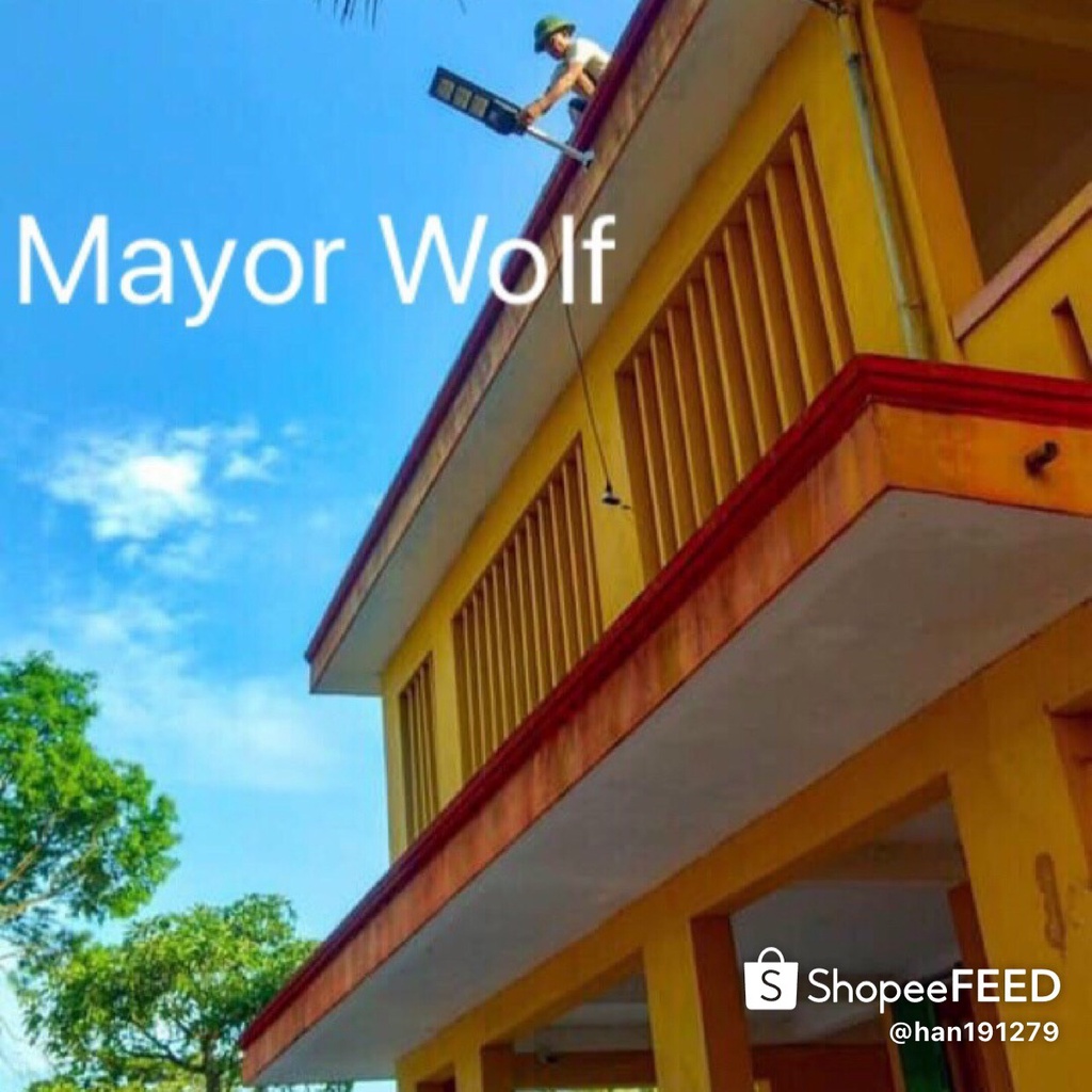 😍Đèn đường năng lượng mặt trời liền thể chính hãng Mayor Wolf .