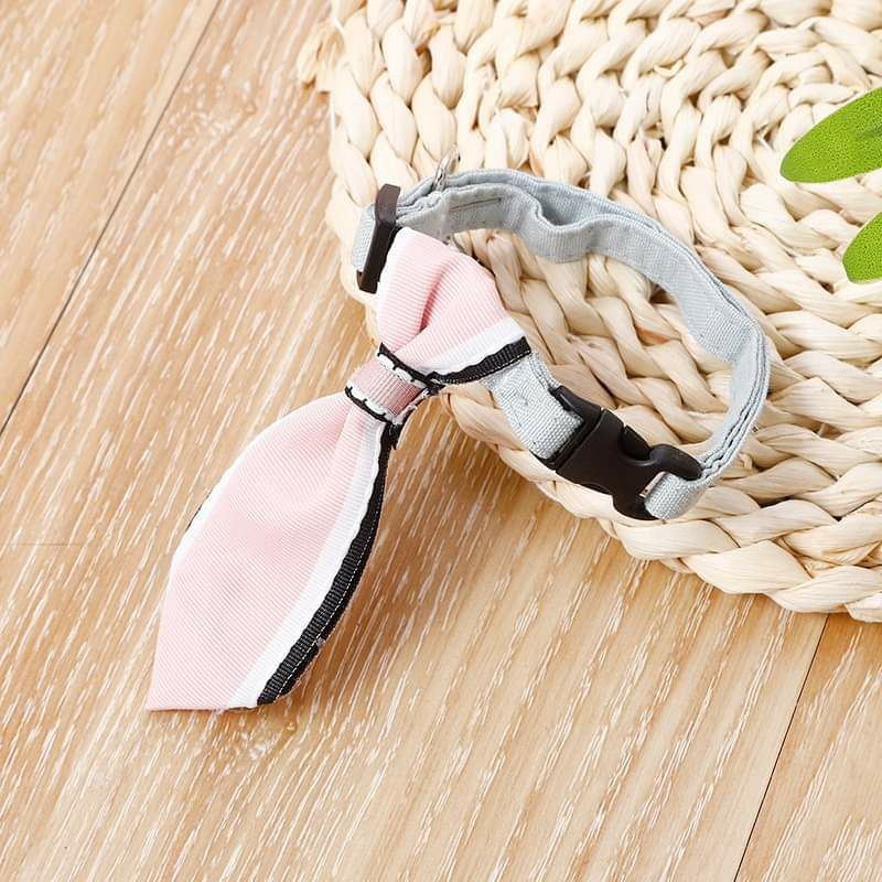Vòng cổ cà vạt cho mèo và chó nhỏ
