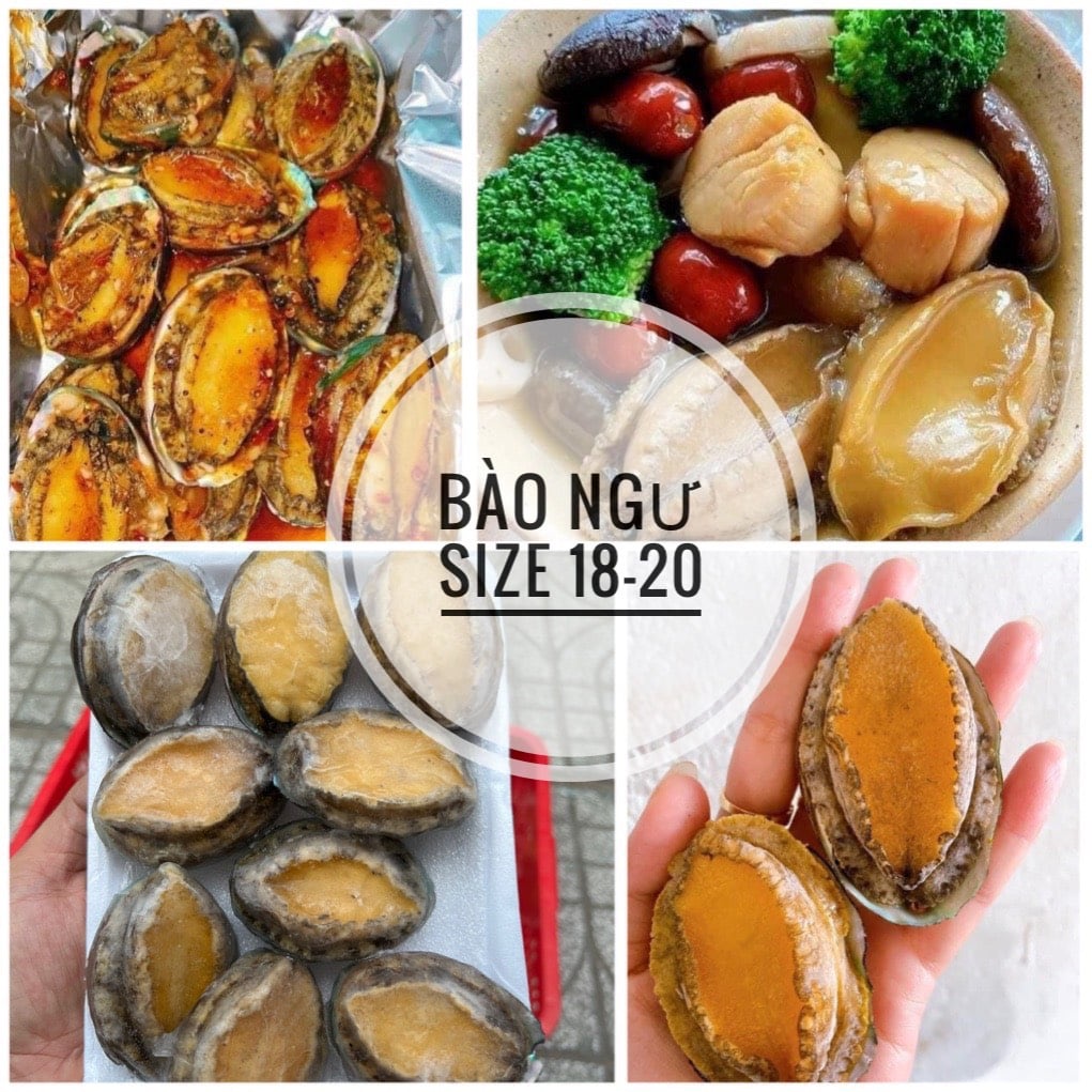 1KG Bào Ngư Hàn Quốc