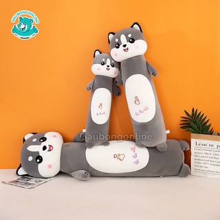 Alaska Đứng Cute