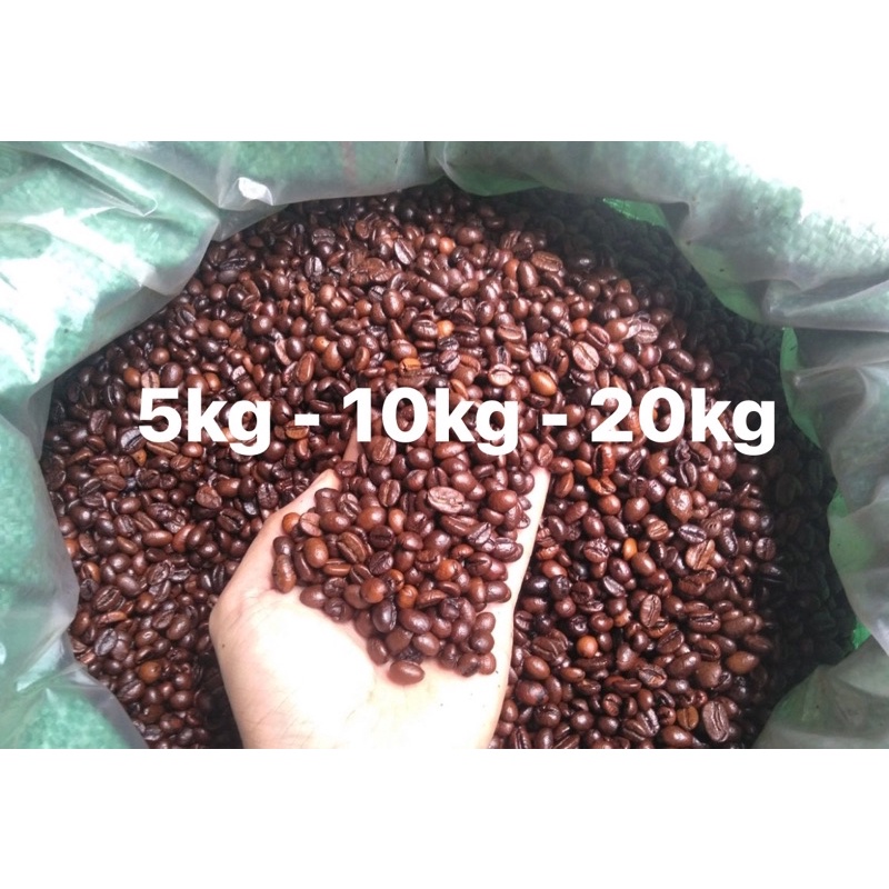 Hạt Robusta gu đậm nguyên chất GIÁ SỈ CHO QUÁN CAFE chuyên nghiệp - 5kg 10kg 20kg