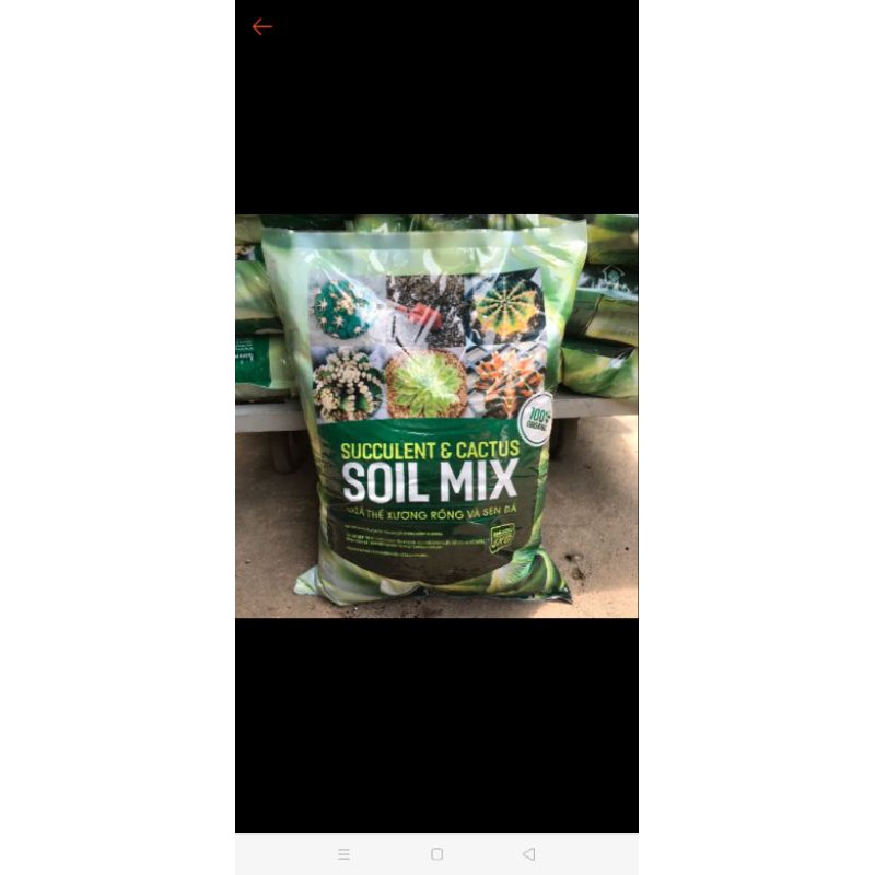 Đất Trồng Sen Đá-Xương Rồng 1kg