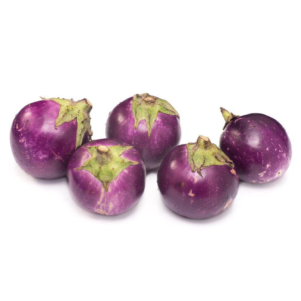 30H - #Hạt_Giống_Cà_Tím_Tròn ( tặng kèm kích mầm và phân bón )