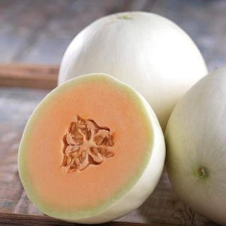 Hạt giống dưa lê cẩm ngọc cam