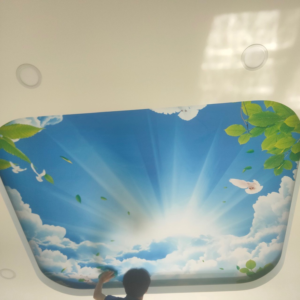 Tranh dán tường 3D tranh trang trí phong thuỷ BINBIN PT29