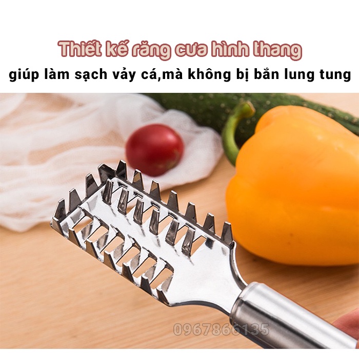 Dụng Cụ Lóc Vảy Cá Inox – Cây Đánh Da Cá/Cạo Vẩy Bằng Thép Không Gỉ Siêu Bền