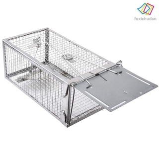 Lồng Bẫy Chuột Hiệu Quả Tiện Dụng