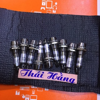 Đèn báo sắt 24 v phi 8 mm(10 chiếc)