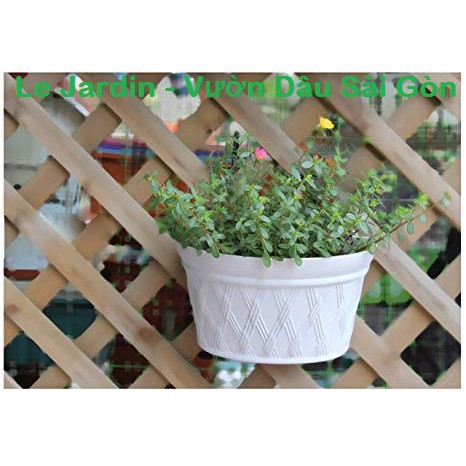 Bán Phân Hữu Cơ Viên Nén Cao Cấp - Agrimartin loại 1Kg  hàng chuẩn, nhập khẩu và phân phối.