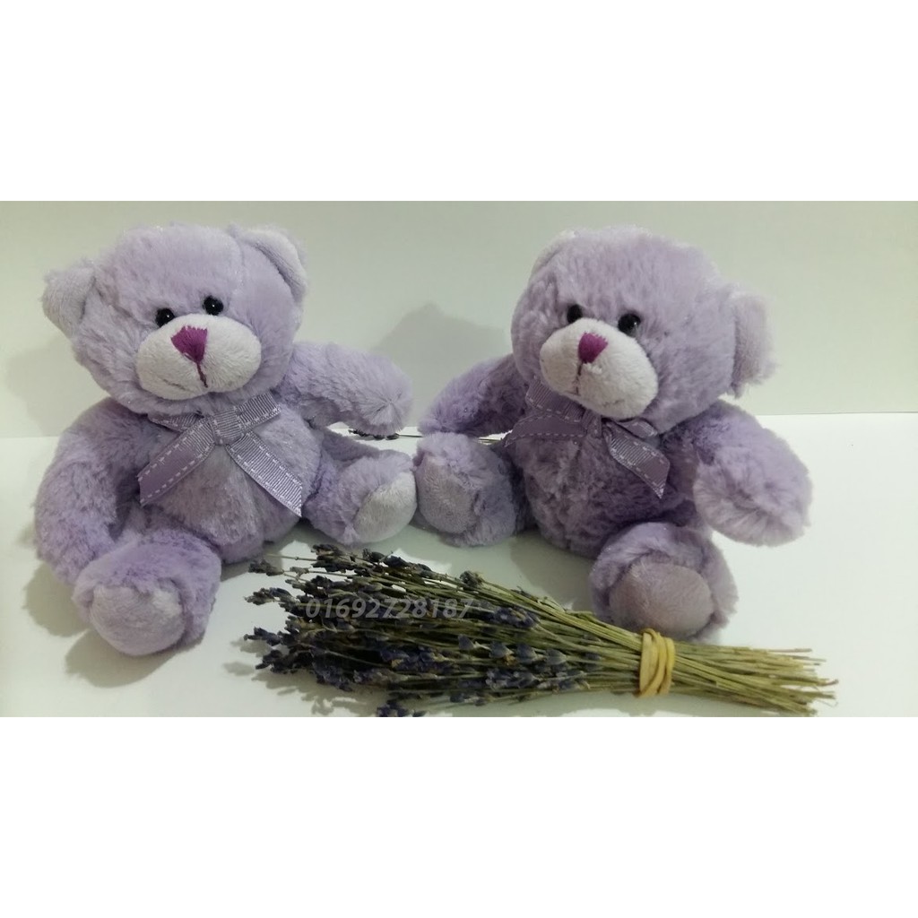 Gấu TEDDY LAVENDER