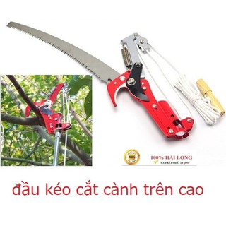 Đầu kéo cưa cắt tỉa cành cây trên cao