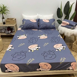 GA GỐI GIÁ RẺ BẤT NGỜ