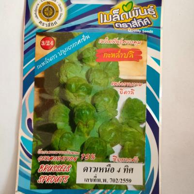 Hạt giống Bắp cải xanh tí hon nhập thái lan nguyên gói_Bắp cải mini xanh chịu nhiệt Brussels Sprouts