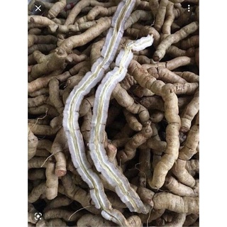 Ba kích tím tươi 1kg