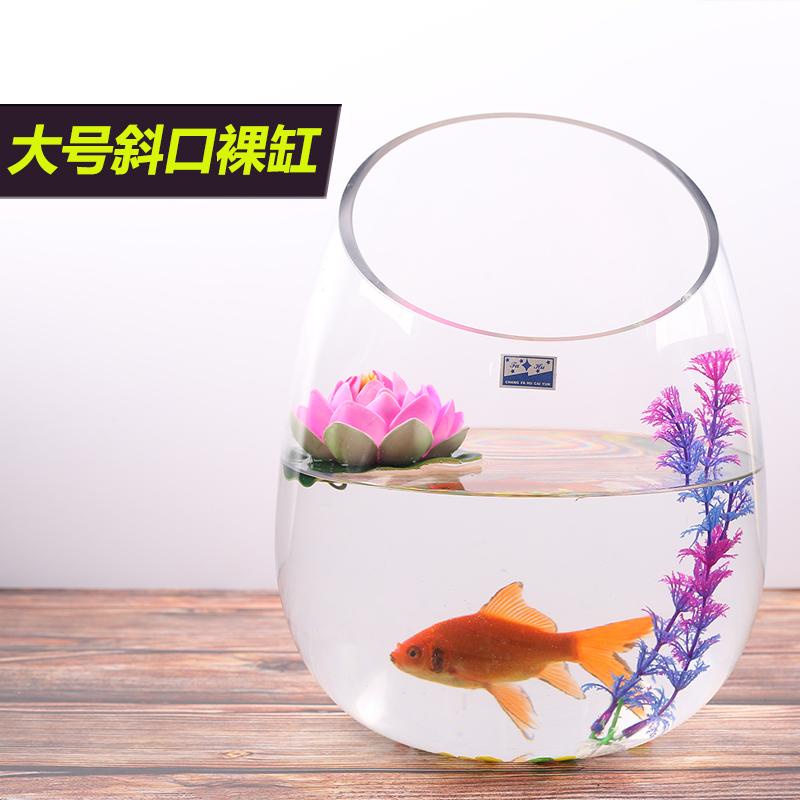 Bể Cá Thủy Tinh Trong Suốt Hình Tròn Cỡ Lớn Sáng Tạo Trang Trí Phòng Khách / Văn Phòng