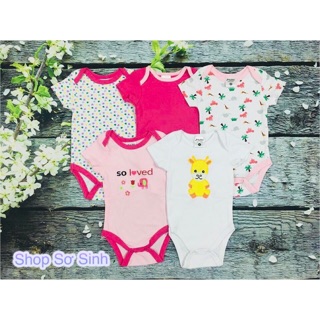 Combo 5b body chip suit cộc tay