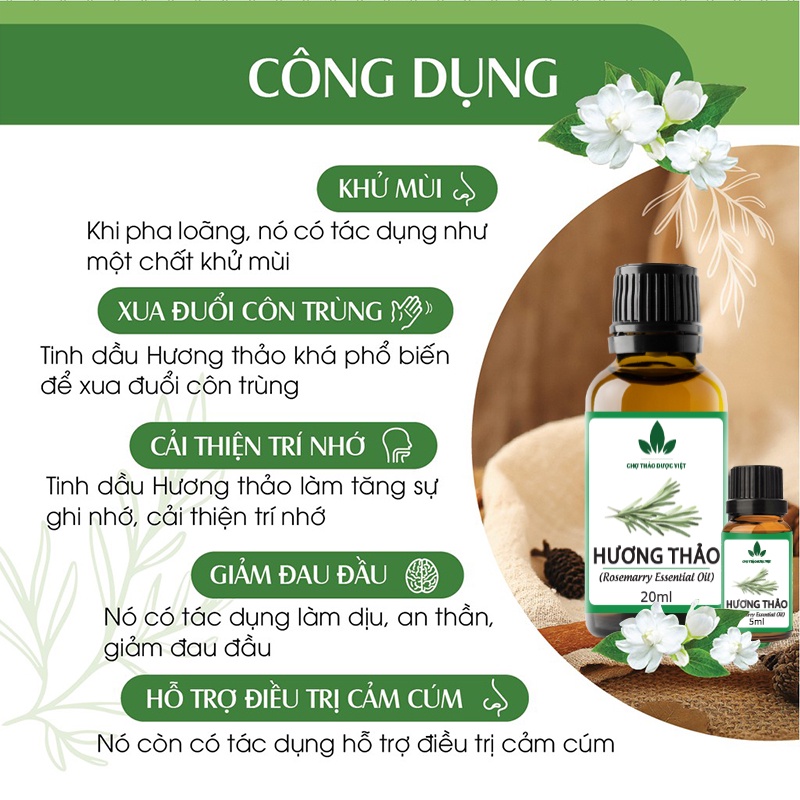 Tinh dầu Hương Thảo 100ml, tăng cường trí nhớ, hương nước hoa thiên nhiên, thơm phòng - Chợ Thảo Dược Việt