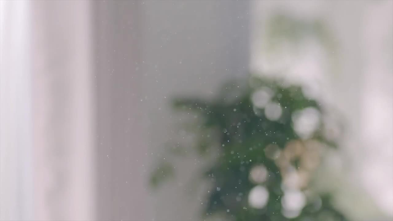 Máy hút bụi cầm tay gia đình không dây cao cấp Deerma VC20 PLus