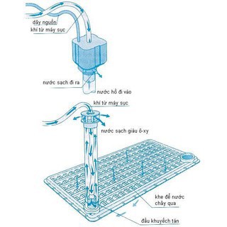  TẤM NHỰA LÓT ĐÁY BỂ LỌC (màu đen, màu trắng) - Tấm nhựa kê ĐÁY BỂ