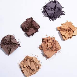 Eyeshadow Organic an toàn RMS Beauty Swift Shadows phấn mắt dạng phấn 2.5g