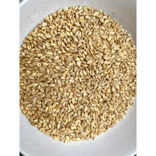 Hạt lúa mì thức ăn cho hamster 1kg