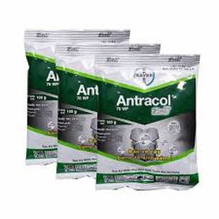 Thuốc trừ bệnh Antracol 70WP 100G