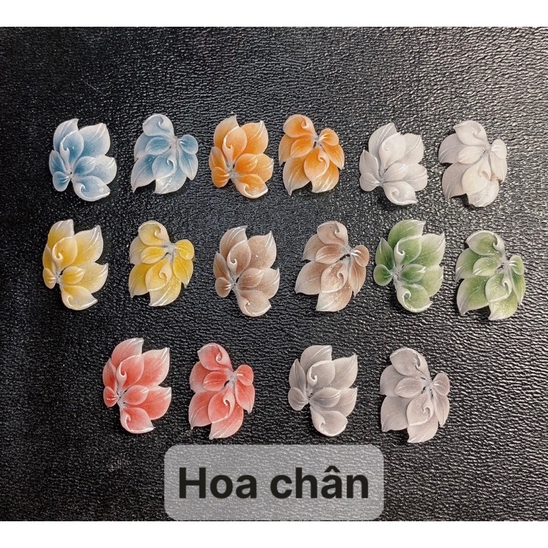 Hoa bột gắn chân