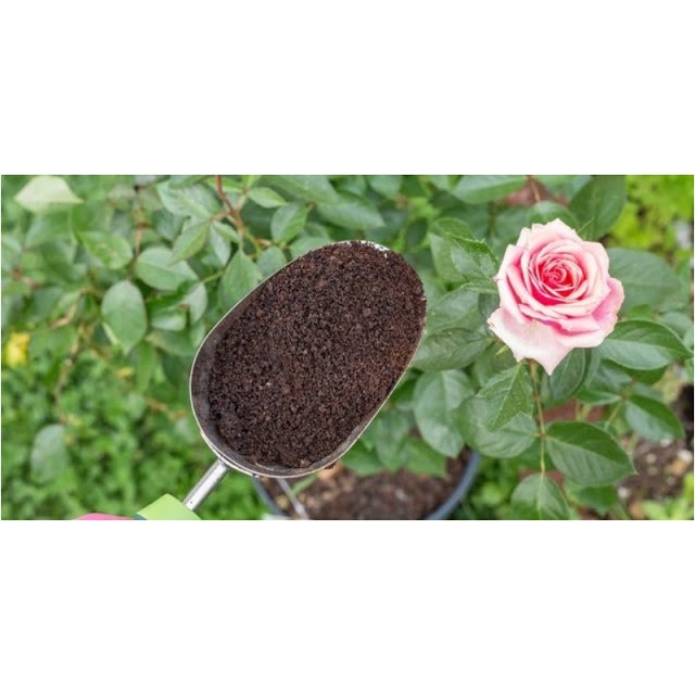 Đất trồng cây có bổ sung dinh dưỡng chuyên dụng cho hoa hồng (Túi 2dm3)