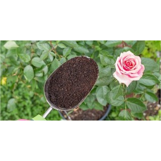  Đất trồng cây có bổ sung dinh dưỡng chuyên dụng cho hoa hồng (Túi 2dm3)