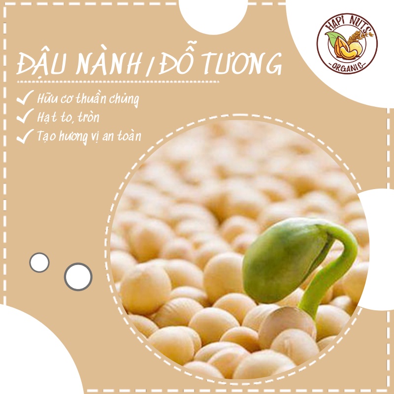 Đậu Nành, Đỗ Tương Hữu Cơ Thuần Chủng Không Biến Đổi Gen, Hạt To Đẹp Nguyên Liệu Làm Sữa, Tào và Đậu Sạch