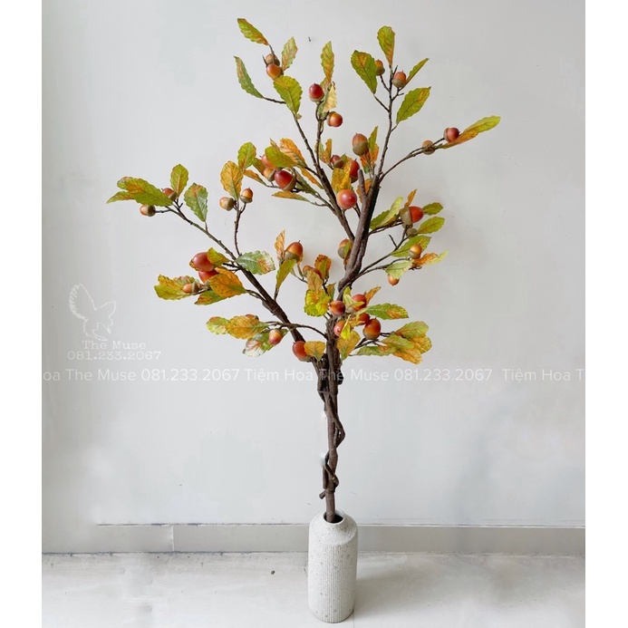 Cành Quả Sồi - Decor Trang Trí Nhà Cửa - Chất Liệu Cao Cấp