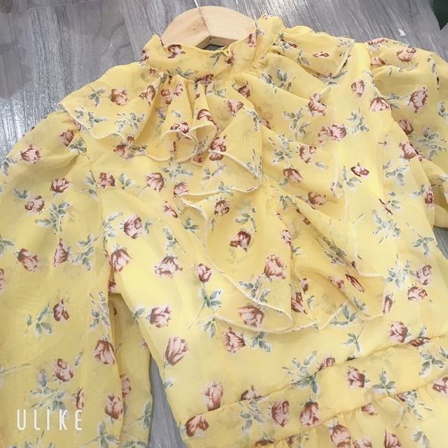 Đầm hoa nhí tay dài phối bèo siêu đẹp (hình thật+video) | BigBuy360 - bigbuy360.vn