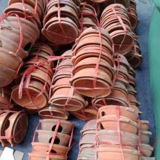 Bếp xông bồ kết, vỏ bưởi, chanh, xả....