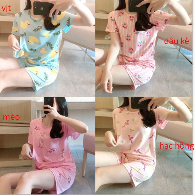 Bộ ngủ cotton nữ