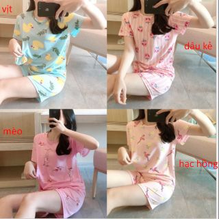 Bộ ngủ cotton nữ