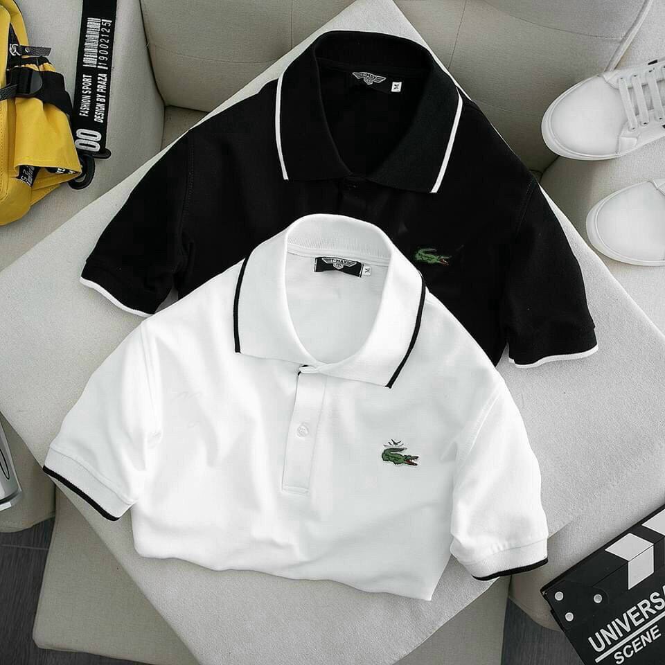 [HÀNG CAO CẤP] ÁO POLO Nam cổ bẻ, phông nam ngắn tay thêu Cá Sấu  phối viền thời trang | BigBuy360 - bigbuy360.vn