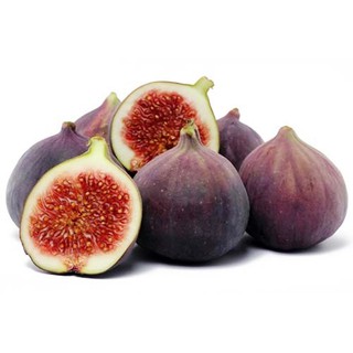 Cây Sung Mỹ Giống nhập khẩu, cho quả sau 5 tháng trồng (tặng thêm phân và kích rễ)