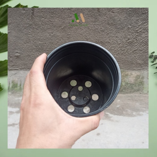 Chậu nhựa cứng tròn đen Thakico trồng cây trong nhà, kiểng lá,các loại hoa kiểng size 12x11 giá xưởng