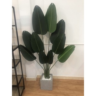 Cây chuối giả 1,6m