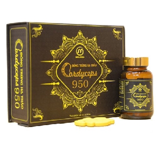 ĐÔNG TRÙNG HẠ THẢO CORDYCEPS 950